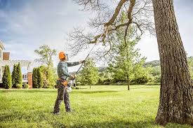 Trusted Fremont Hills, MO Tree Removal and Landscaping Services Experts